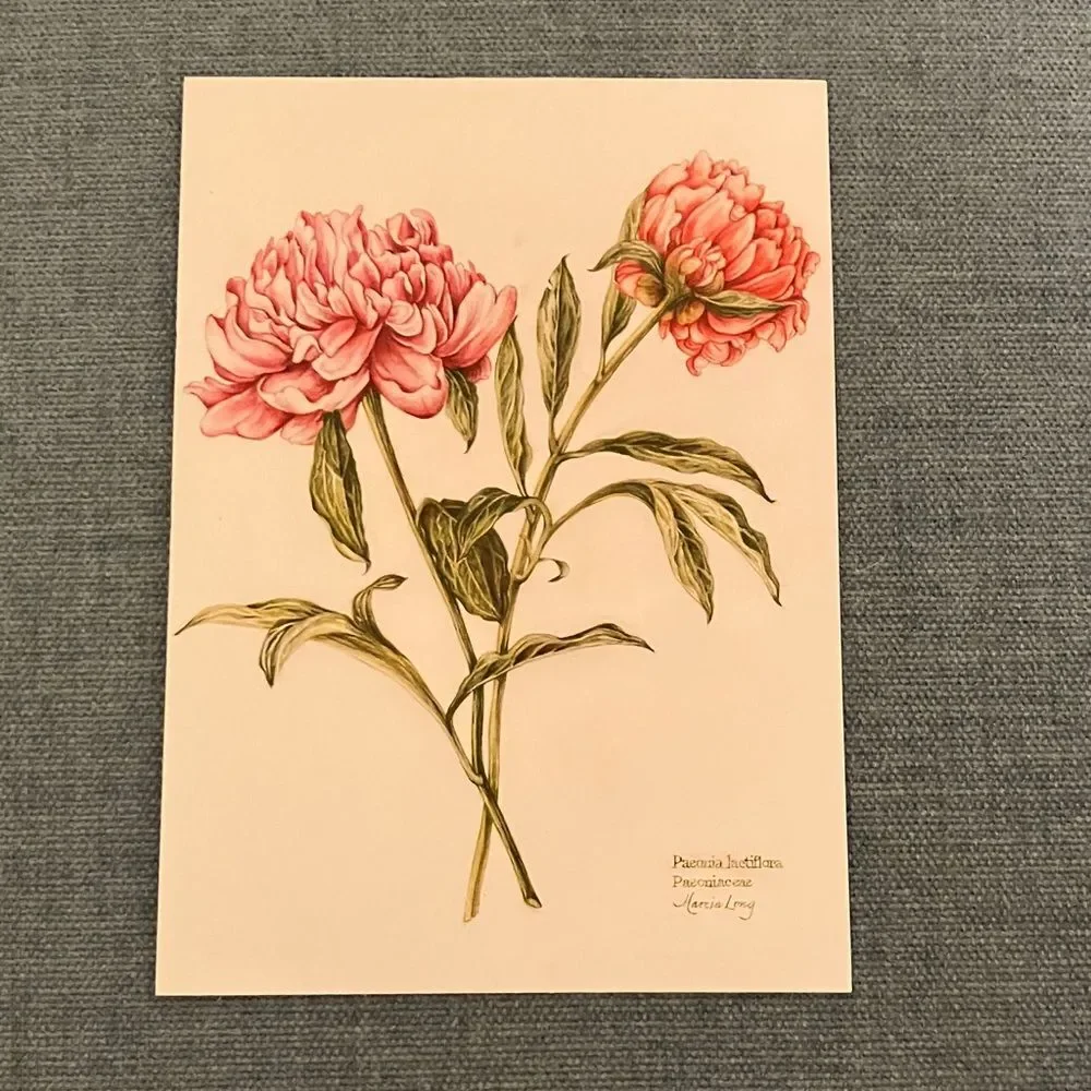 Peonies The Colonial Williamsburg Foundation Card